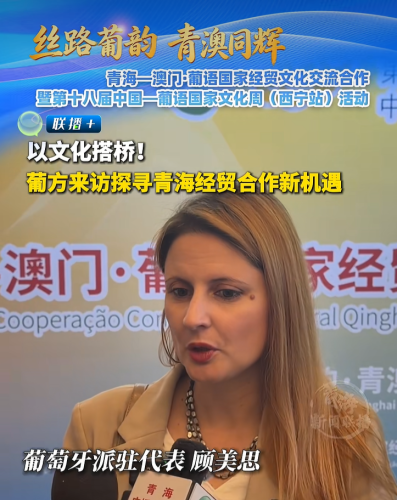 [经贸推介] 以文化搭桥！葡方来访探寻青海经贸合作新机遇